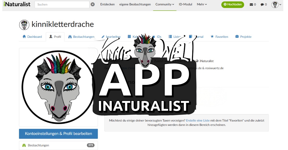Du betrachtest gerade Kinni macht bei iNaturalist mit